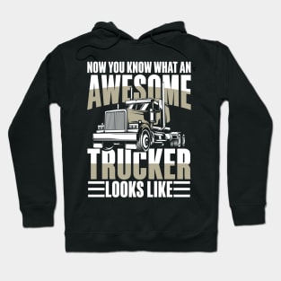 Now You Know What An Awesome Trucker Looks Like Hoodie